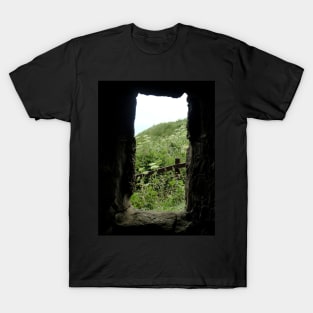 The Gardens Through a Stone Window - Dunnottar Castle T-Shirt